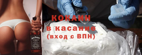 прущий лед Богданович