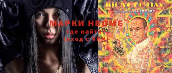 прущий лед Богданович