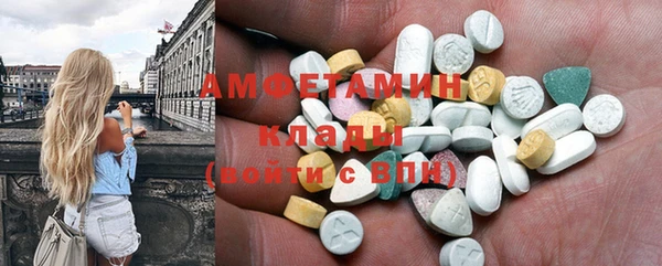 прущий лед Богданович