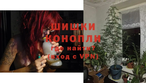 гидра Белокуриха
