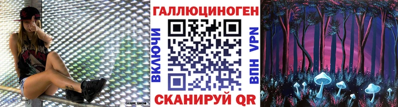 Галлюциногенные грибы Psilocybe  Кстово 